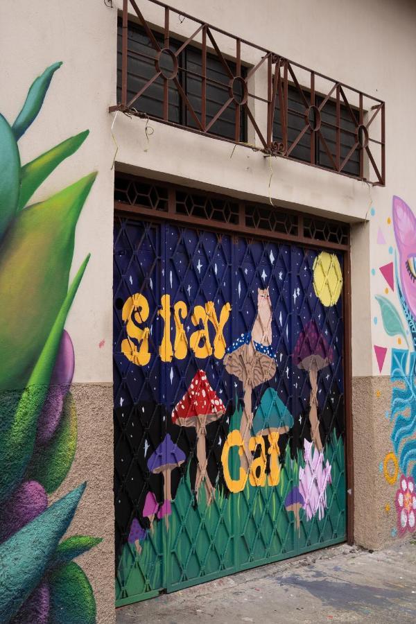 Stray Cat Hostel San Jose  Bagian luar foto